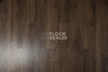 Кварцвиниловые полы Tarkett Funky House MIKE фото 1 | FLOORDEALER
